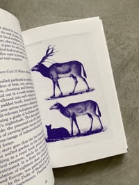 Image 3 of Making Kin: Animals