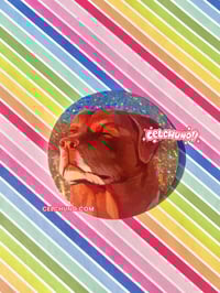 Image 5 of Silly Glitter Stickers 4 Gaza 