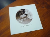 Image 3 of "El ángel exterminador" (4)