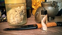 Image 4 of  Preserved Sheep Brain Jar