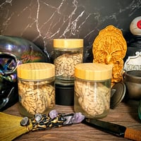 Image 1 of  Preserved Sheep Brain Jar