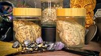 Image 2 of  Preserved Sheep Brain Jar