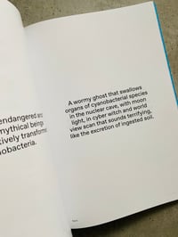 Image 3 of A Book for Disappearance