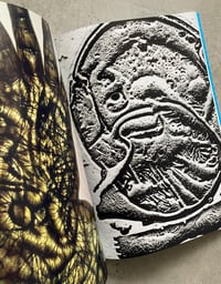 Image 4 of A Book for Disappearance