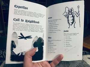 Image of Beetle Knight