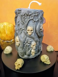 Image 2 of La Guardiana de Sombras