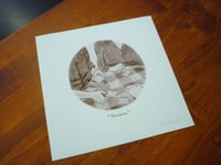 Image 3 of "Viridiana" (5)