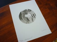 Image 1 of "Los olvidados" (1)