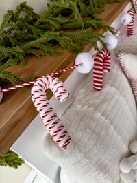 Image 3 of Candy Cane Christmas Minis 2025(deposit only)