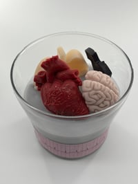 Image 2 of Cray's Anatomy