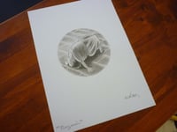 Image 1 of "Nazarín" (2)