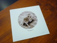 Image 3 of "Nazarín" (2)