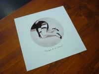 Image 3 of "Ensayo de un crimen" (1)