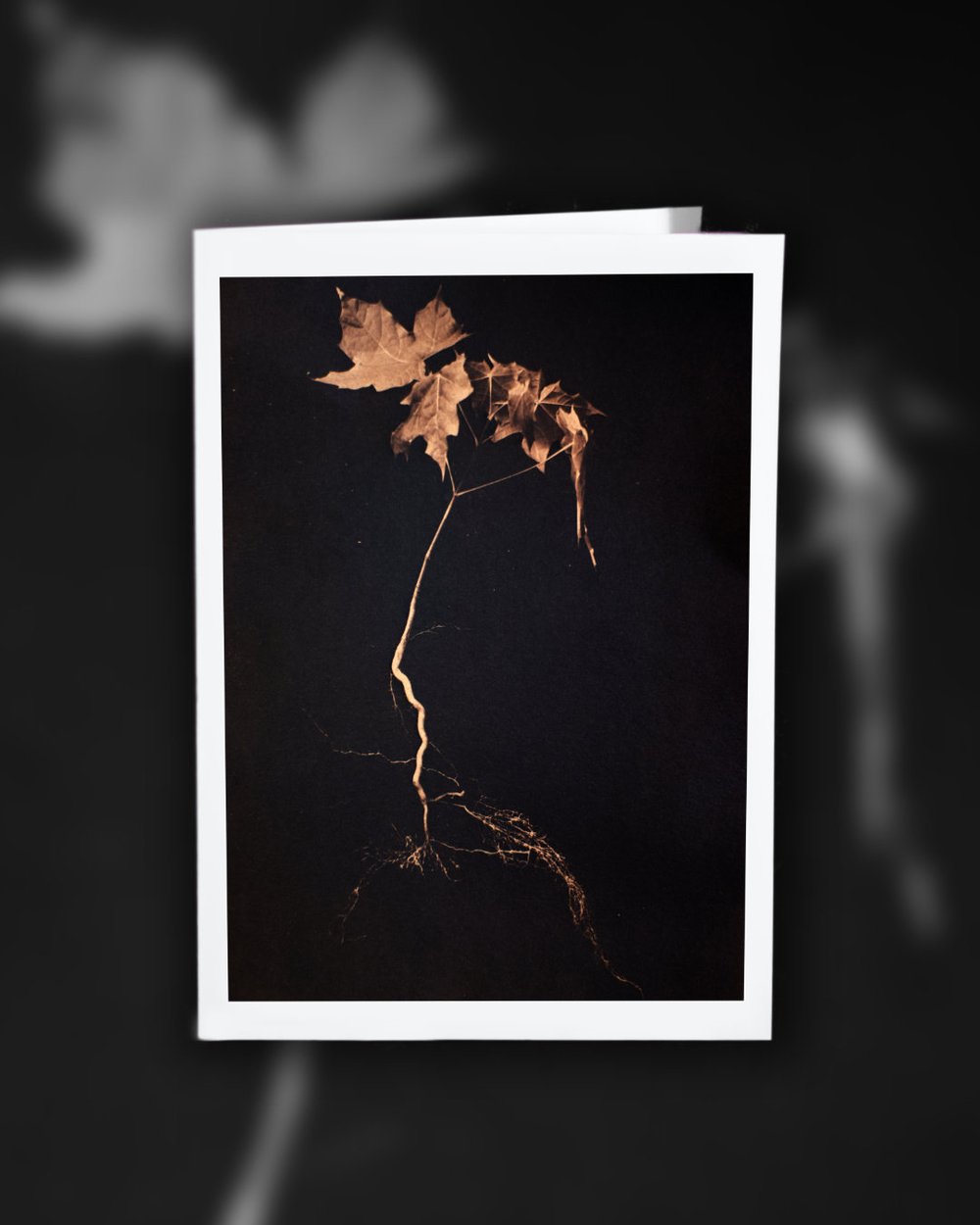 Image of Unearthed Cyanotype Greeting Card