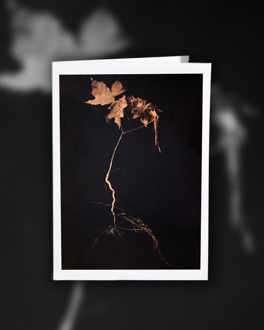 Image of Unearthed Cyanotype Greeting Card