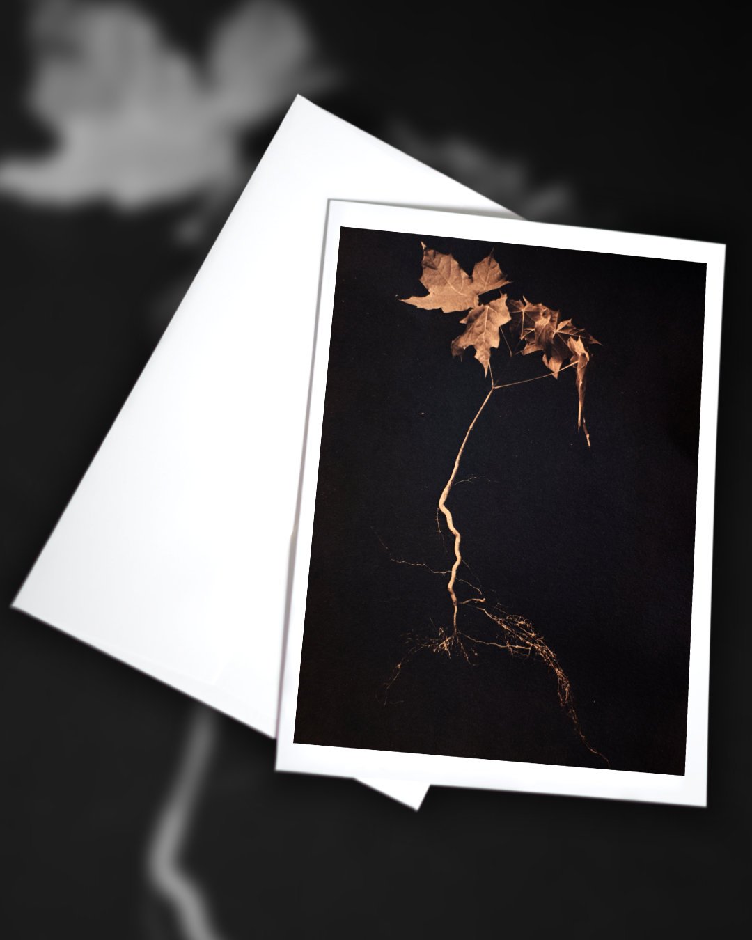 Image of Unearthed Cyanotype Greeting Card