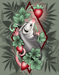Strawberry Opossum