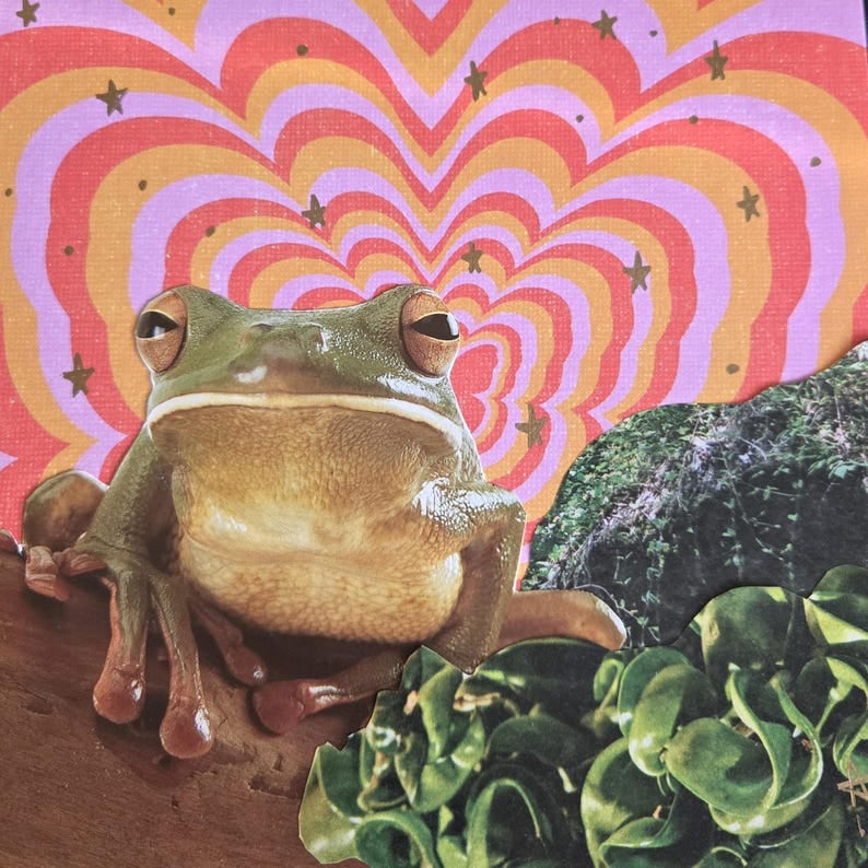 Image of Groovy Frog