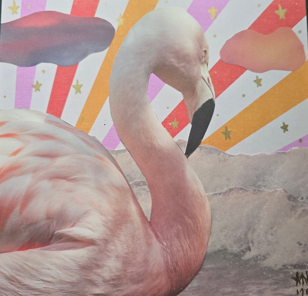 Image of Pink Flamingo