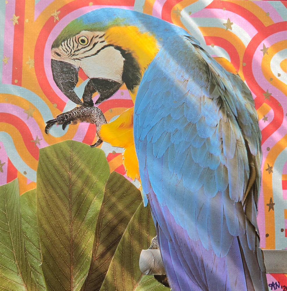 Image of Parrot in Paradise
