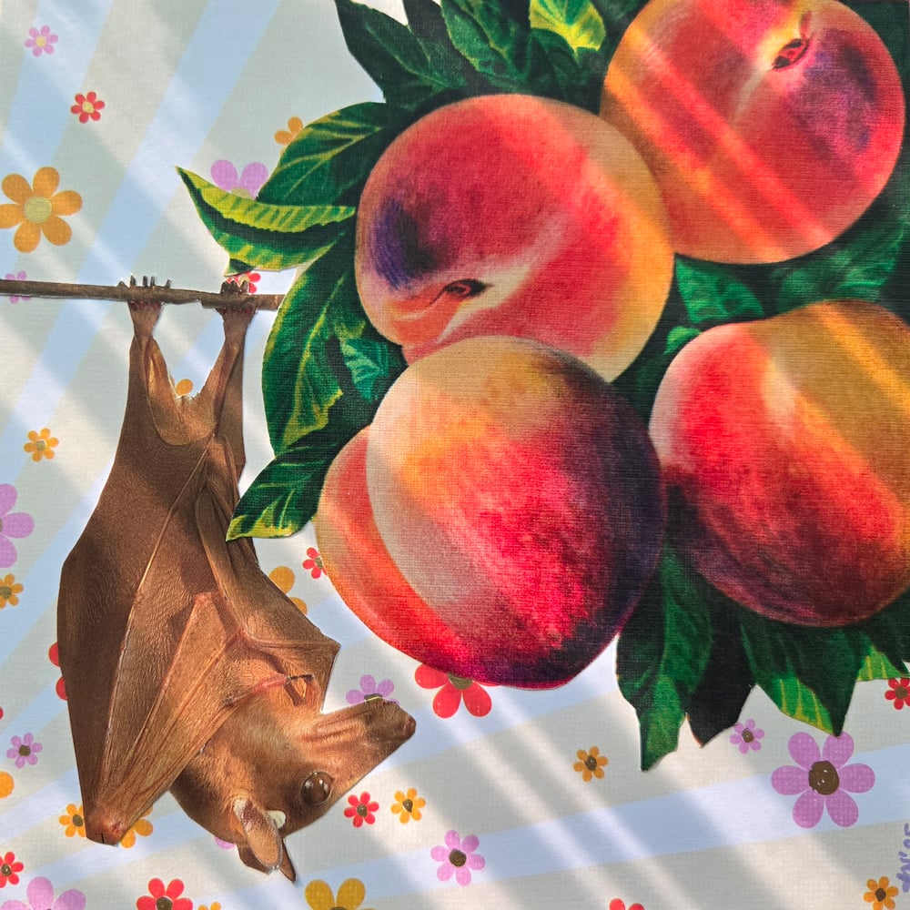 Image of Peachy Bat
