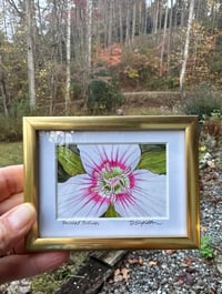 Image 1 of Painted Trillium in mini frame
