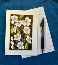 Greeting Card: Wild Roses & Blackberries (5x7)