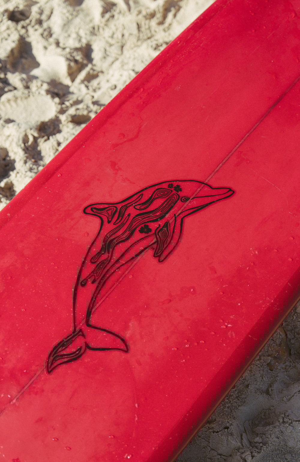Image of Dolphin Decal - by Sophie Fletcher Designs