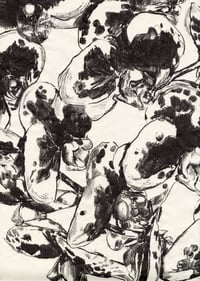 Image 2 of Orchid Print