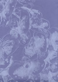 Image 4 of Orchid Print