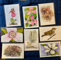 Image 5 of Panthertown Bio Blitz 2025 Fine Art Prints