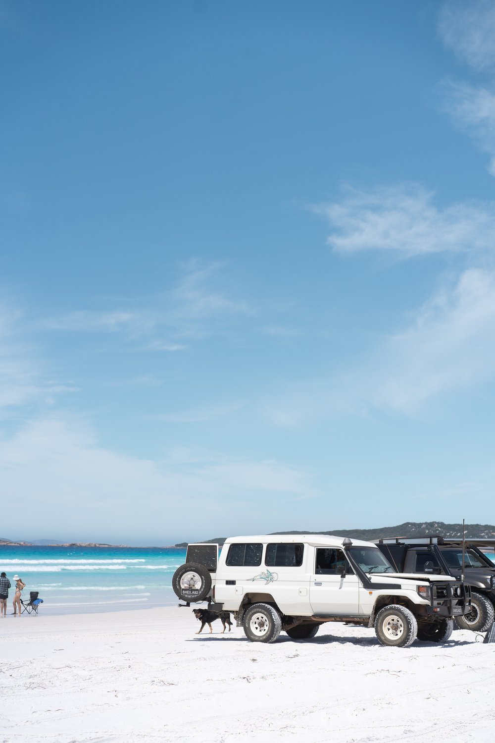 Image of Whale Shark Decal - by Sophie Fletcher Designs