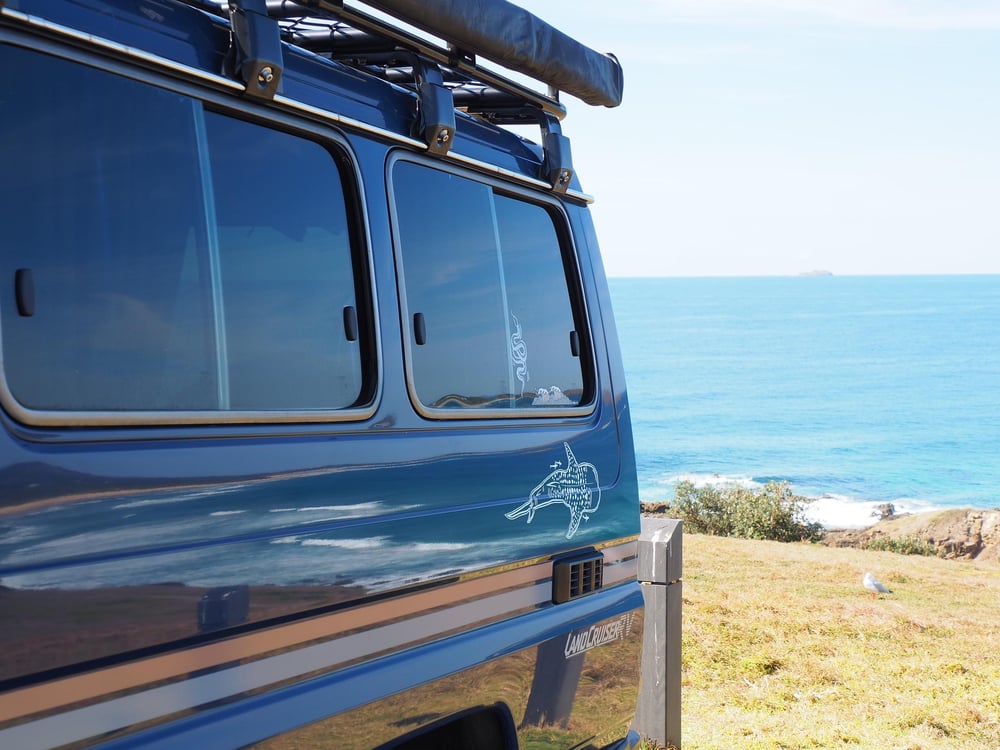 Image of Whale Shark Decal - by Sophie Fletcher Designs