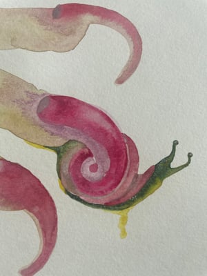 Snail-Nail (ORIGINAL)