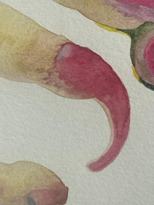 Snail-Nail (ORIGINAL)