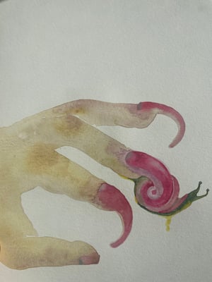 Snail-Nail (ORIGINAL)