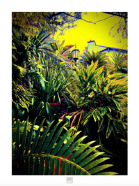 THE ENCHANTED GARDEN