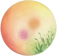 Image 2 of The Cowboy Philosopher - Carefully Curated Companion Box