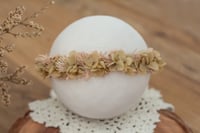 Newborn/Sitter Halo 94