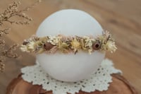 Newborn/Sitter Halo 98