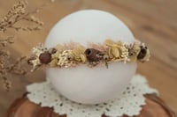 Newborn/Sitter Halo 99