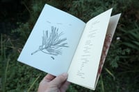 Image 3 of One Square Foot of Ground, Issue #1