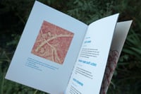 Image 4 of One Square Foot of Ground, Issue #1