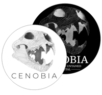 Image 1 of Lion Skull Premium Rainbow Holographic Vinyl Sticker 9cm x 9cm