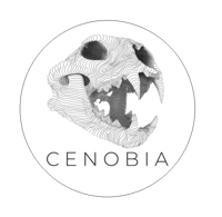 Image 4 of Lion Skull Premium Rainbow Holographic Vinyl Sticker 9cm x 9cm