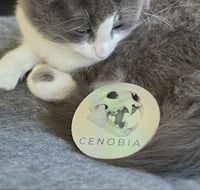 Image 2 of Lion Skull Premium Rainbow Holographic Vinyl Sticker 9cm x 9cm