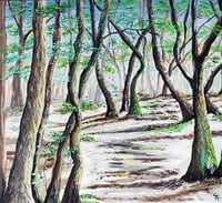 Netherton Woodlands Print