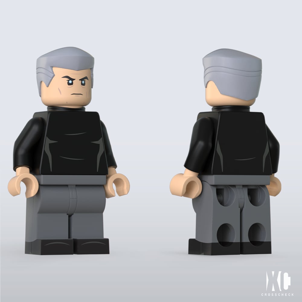 CrossCheck Figure Project: Master Beyond Knight