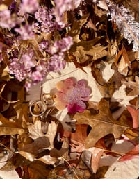 Arsène tarte aux figues 