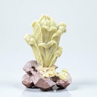 Image 1 of Sculpture d'art de chou chinois vert en pierre Qingtian - Zhejiang - jade 